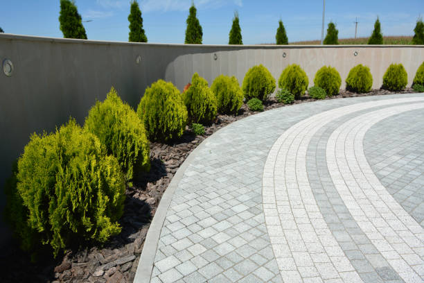 Reasons to Select Us for Your Driveway Paving Requirements in St Maries, ID